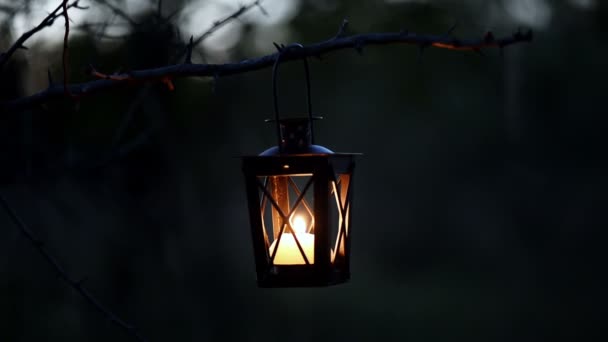 妇女的手在森林里用蜡烛灯笼点燃蜡烛 在黄昏 夏日的时候 关闭可爱的浪漫烛光 神秘的气氛 — 图库视频影像