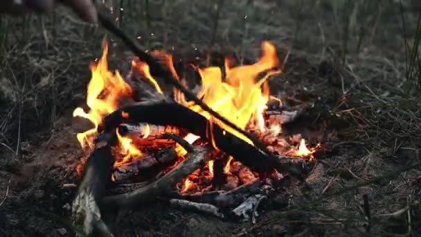 篝火在壁炉 — 图库视频影像