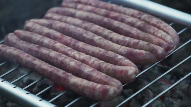 Fresh Sausages Grill Forest — Stock Video