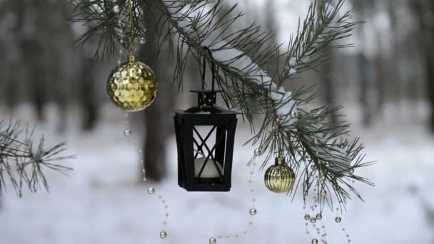 Christmas Tree Decoration Snow Branch Candle Candle Lantern Ang Gold — Stock Video