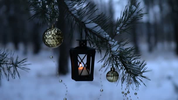 Menina Mão Ligth Vela Lanterna Vela Floresta Inverno Natal Decoração — Vídeo de Stock