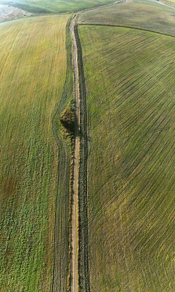 Vista Aérea Uma Estrada Entre Campos — Fotografia de Stock