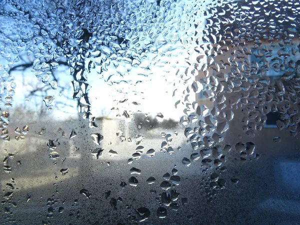 Árbol Detrás Una Ventana Húmeda — Foto de Stock