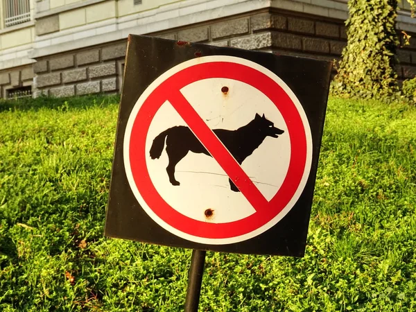 Жодних Собак Заборонений Знак — стокове фото