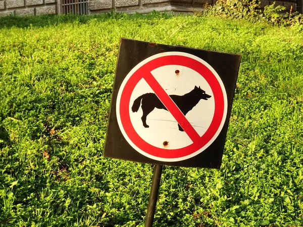 Dogs Allowed Sign — Stock Photo, Image
