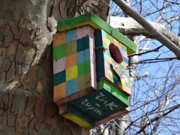 木の上のカラフルな鳥の家 — ストック写真
