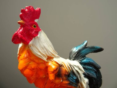 Dekoratif horoz ev dekorasyon