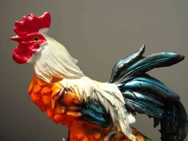 Dekoratif horoz ev dekorasyon