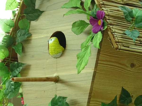 装飾的な鳥と木製の巣箱 — ストック写真