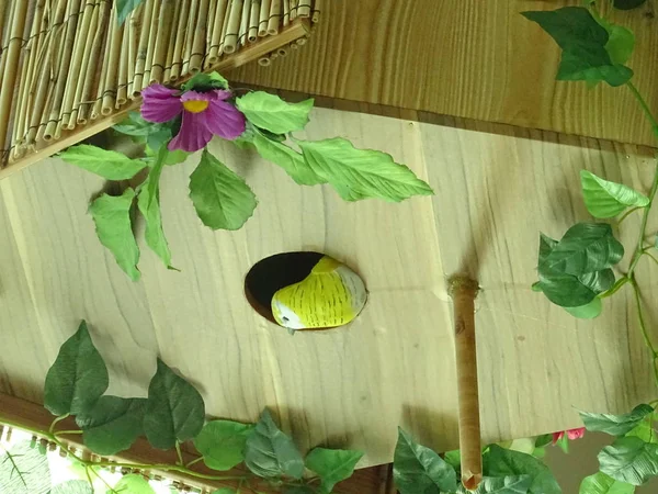 Uccello Decorativo Birdhouse Legno — Foto Stock