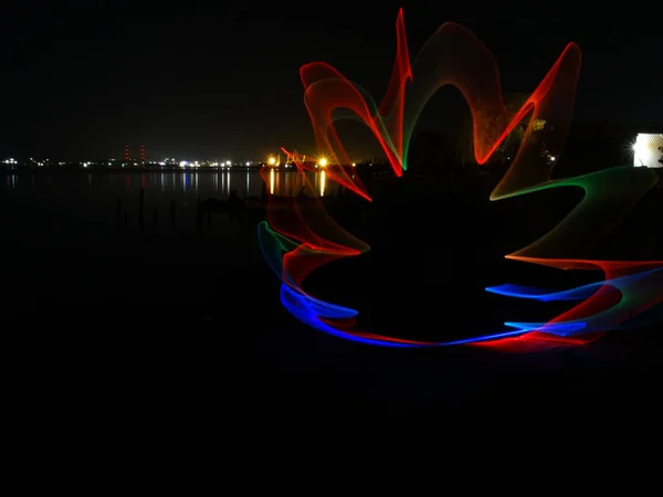 Flor Noche Lightpainting Fotografía — Foto de Stock
