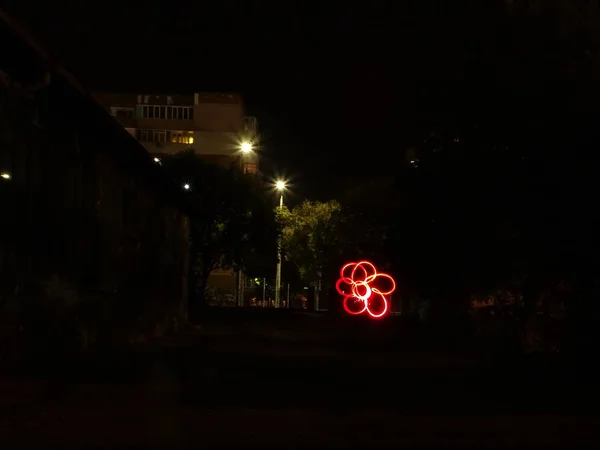 Flor Noite Lightpainting Fotografia — Fotografia de Stock