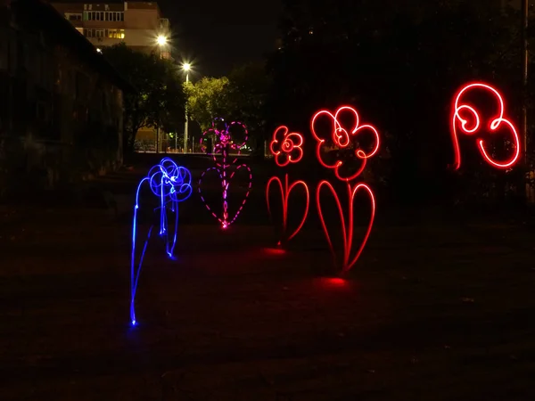 Çiçek gece Lightpainting fotoğraf