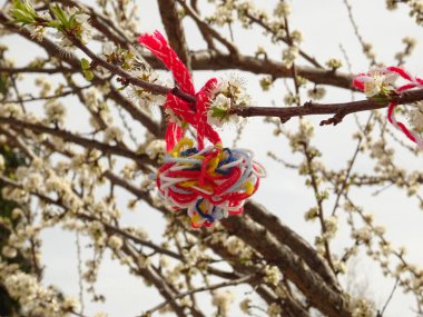 Bulgar geleneksel Martenitsa bir ağaç üzerinde