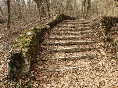 Merdivenlerde bir sonbahar orman