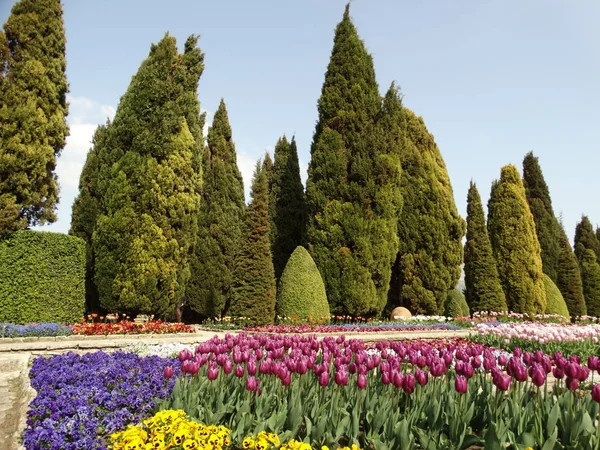 Jardines Botánicos Balchik Bulgaria — Foto de Stock