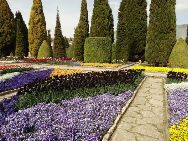 Ботанічний Сад Балчика Болгарія — стокове фото
