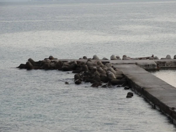 Вид Море Джетти — стоковое фото