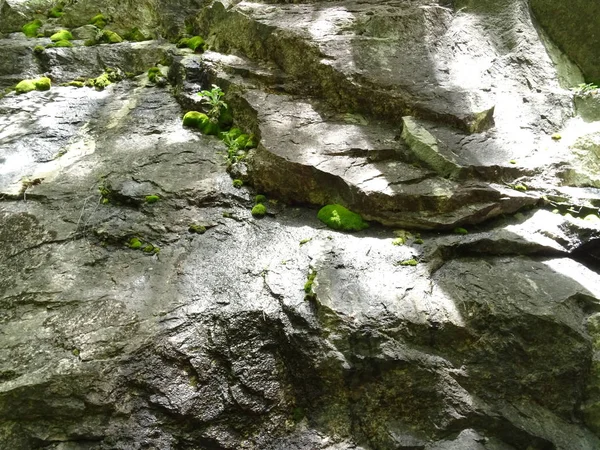 Rocas Mojadas Cerca —  Fotos de Stock