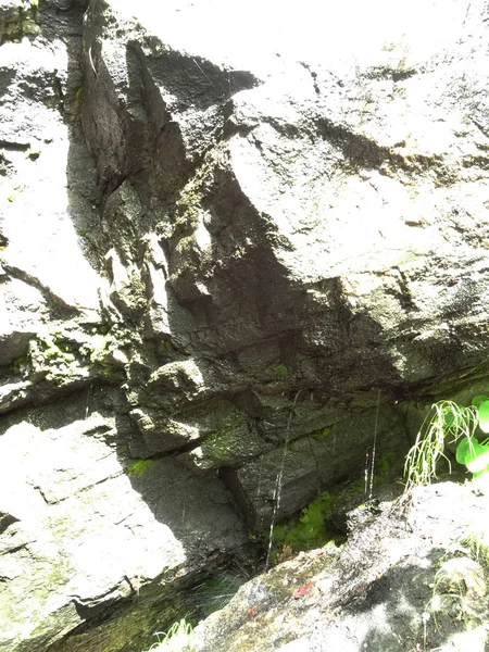 Wet Rocks Perto — Fotografia de Stock