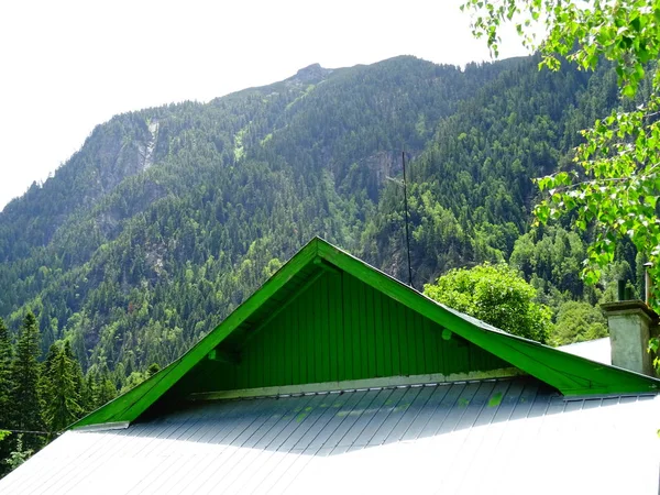 Green Roof of a Forest House