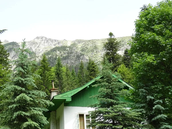 Vista Sobre Green Forest House — Fotografia de Stock