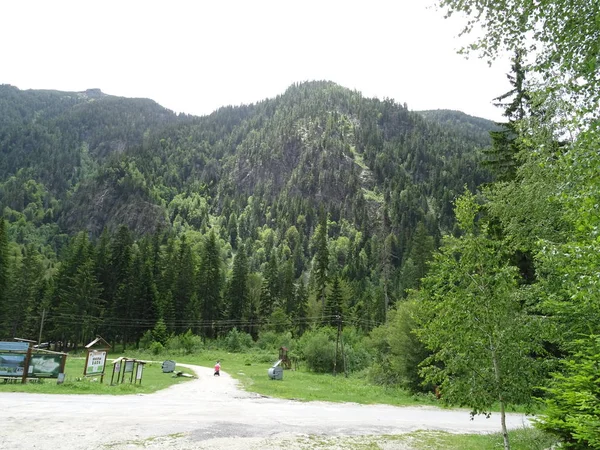 Pfad Einem Grünen Berg — Stockfoto