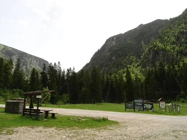 Pfad Einem Grünen Berg — Stockfoto