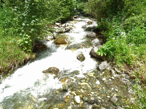 Vista Sul Fiume Che Scorre Nella Foresta — Foto Stock