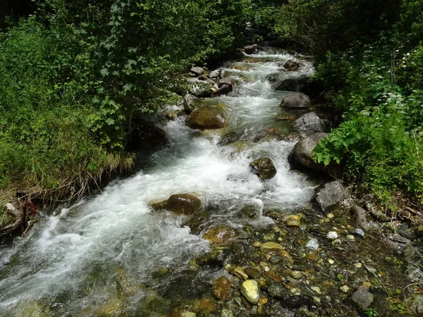 Vista Sul Fiume Che Scorre Nella Foresta — Foto Stock