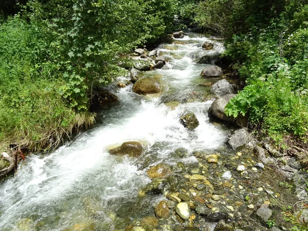 Vista Sul Fiume Che Scorre Nella Foresta — Foto Stock