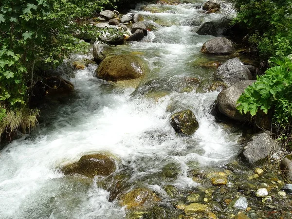 Vista Sul Fiume Che Scorre Nella Foresta — Foto Stock