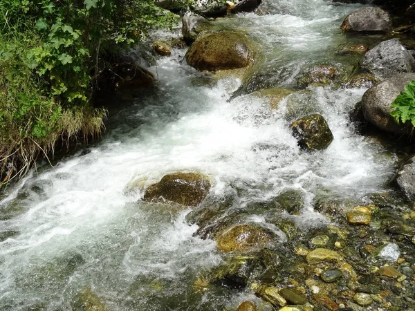 Vue Sur Rivière Qui Coule Dans Forêt — Photo