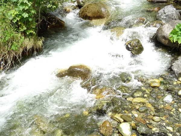 Vue Sur Rivière Qui Coule Dans Forêt — Photo