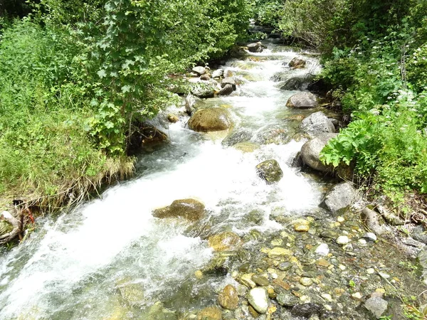 Vista Sul Fiume Che Scorre Nella Foresta — Foto Stock