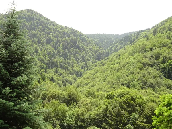 晴れた日に緑の山の美しい景色 — ストック写真