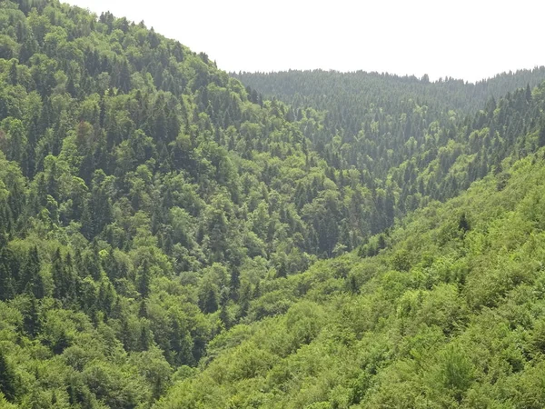 Hermosa Vista Sobre Green Mountain Día Soleado — Foto de Stock