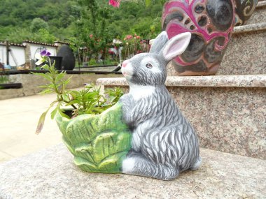 Tavşan çiçek Pot bahçe dekorasyon