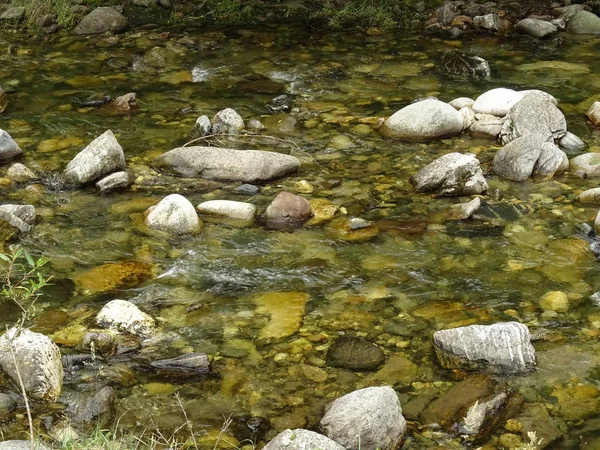 Vue Sur Rivière Qui Coule Dans Forêt — Photo