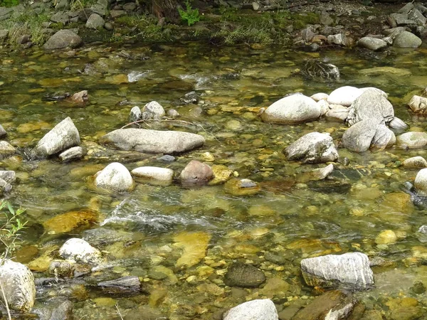 Vista Sul Fiume Che Scorre Nella Foresta — Foto Stock