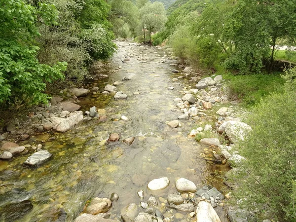 Vue Sur Rivière Qui Coule Dans Forêt — Photo