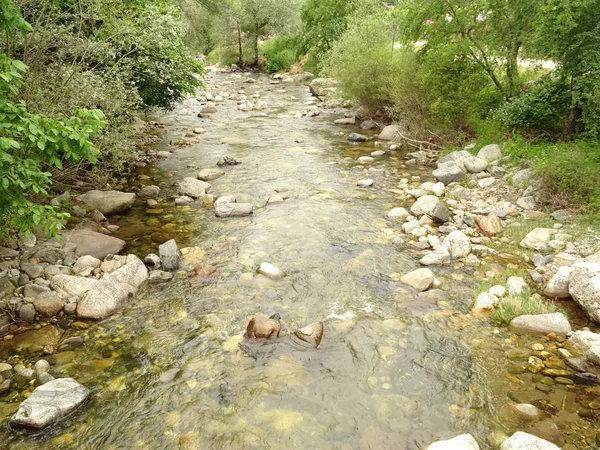 Vista Del Río Que Fluye Bosque — Foto de Stock