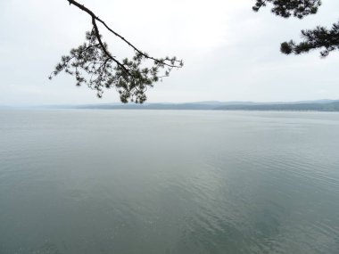 Ağaç dalı su ufuk yukarıda