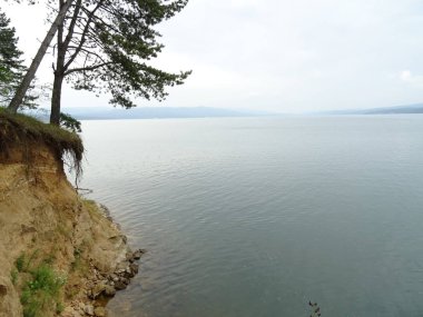 ağaçların arkasında göl manzarası