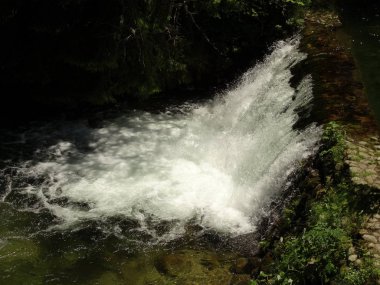 Parktaki güzel şelale