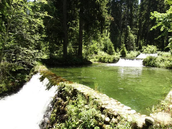 Gyönyörű Vízesés Parkban — Stock Fotó