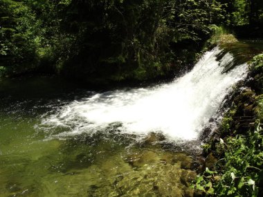 Parktaki güzel şelale