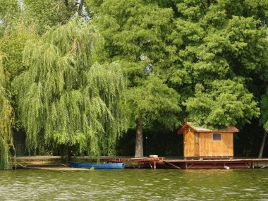 Küçük ev Ubnder ağaç dallarının bir göl kenarı