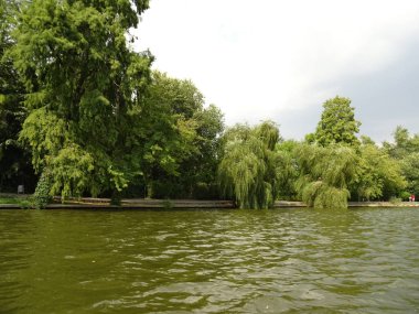 Ağaç dalları dokunmadan Gölü su Cismigiu Park Bucharest, Ro