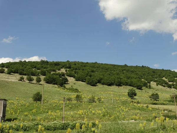 Πράσινη Θέα Στην Ύπαιθρο Την Ημέρα — Φωτογραφία Αρχείου